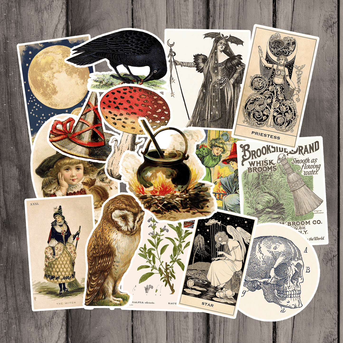 Victorian Witch Sticker Pack