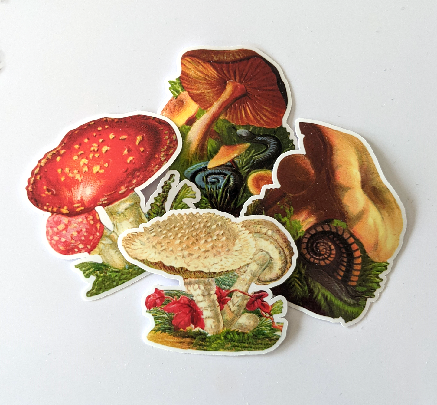 Vintage mushroom sticker pack