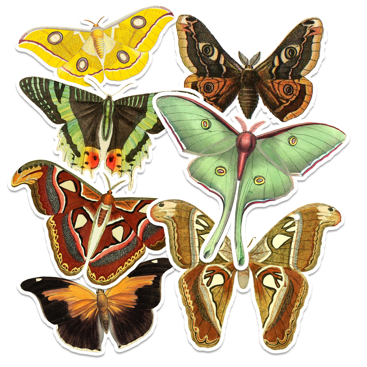 Vintage Moth Stickers