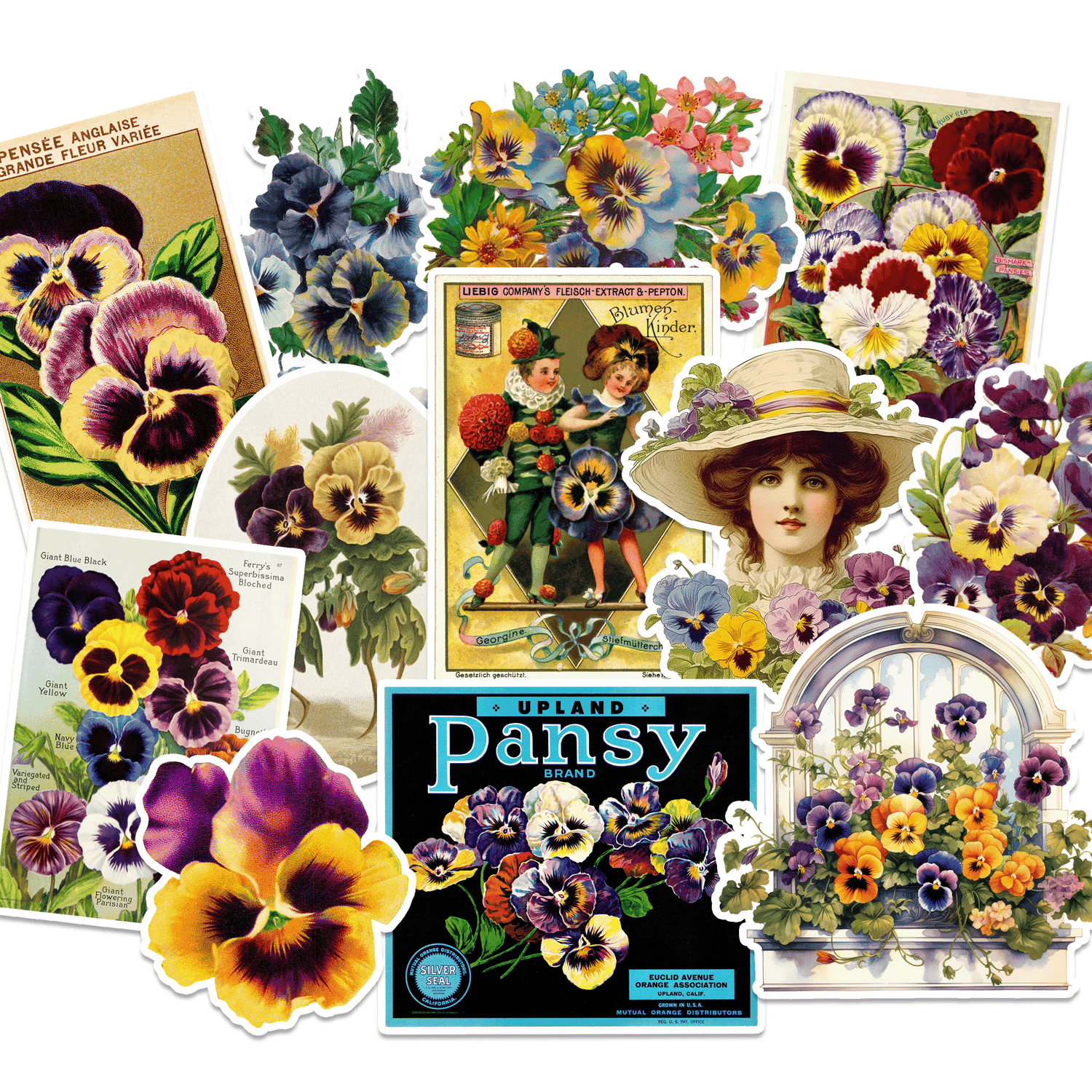 Vintage Pansy Sticker Pack Cherry Moon Factory