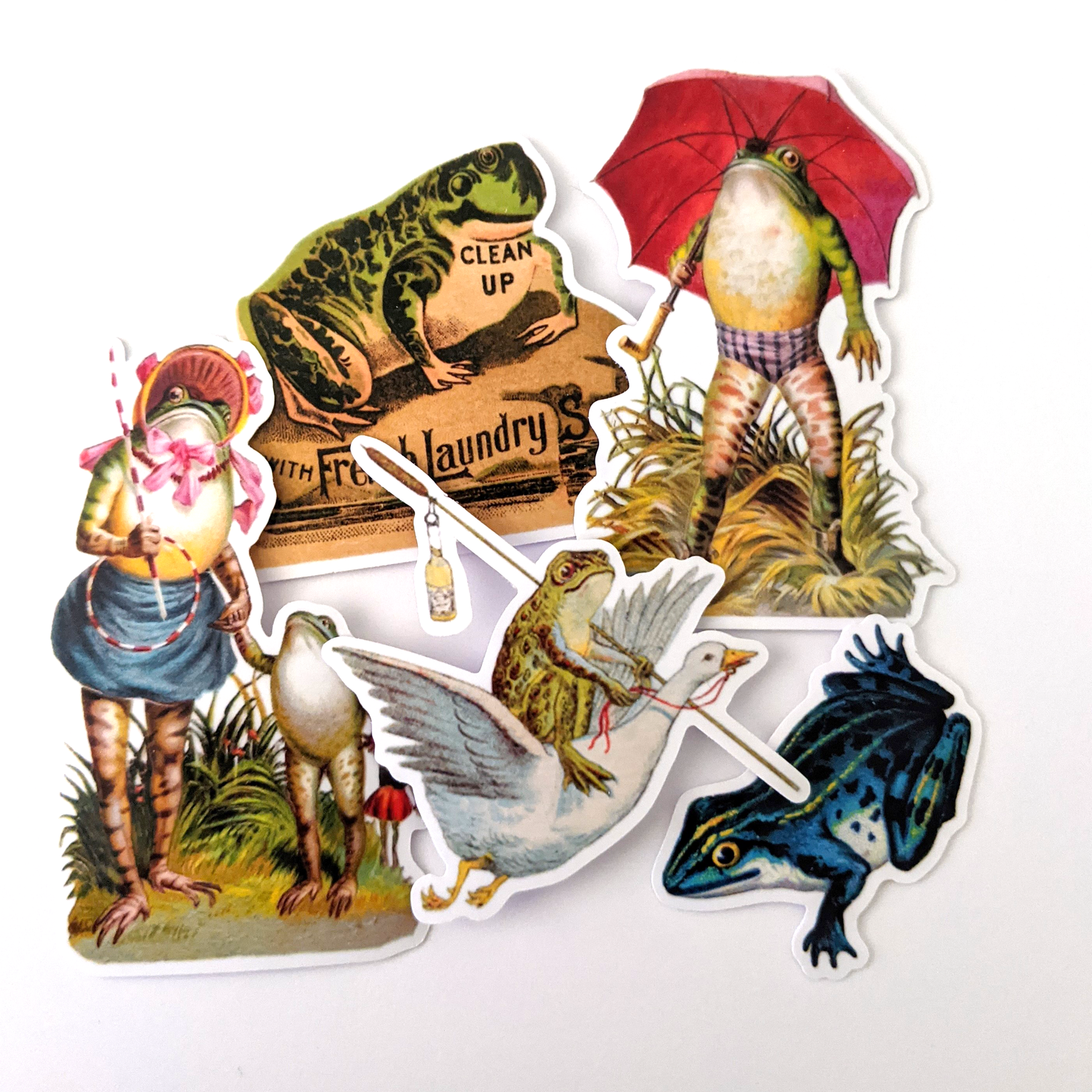 Frog and Toad Sticker Combo Set - 3 Pack Vinyl Stickers