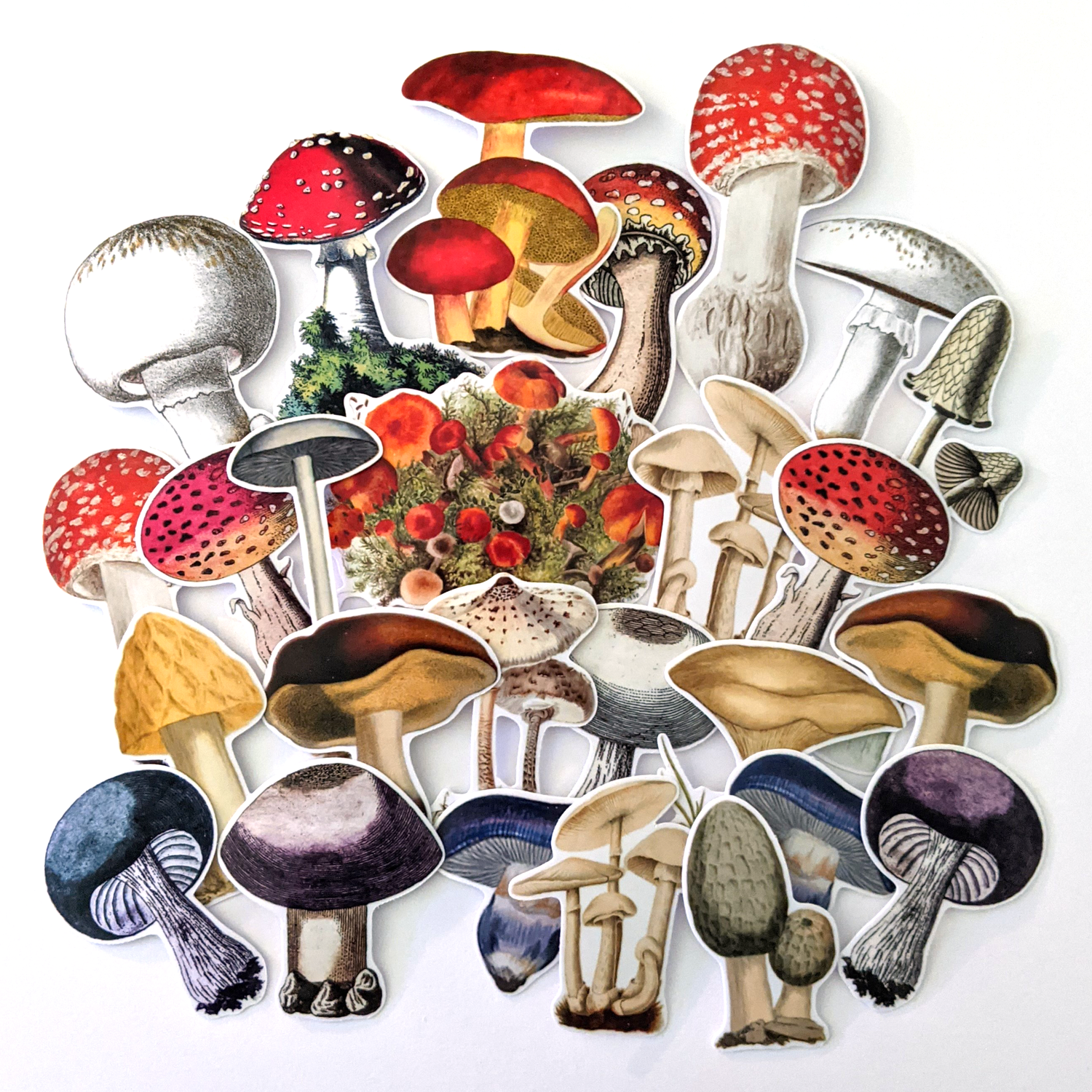 Retro Vintage Mushroom Design - Retro Vintage Aesthetic - Sticker