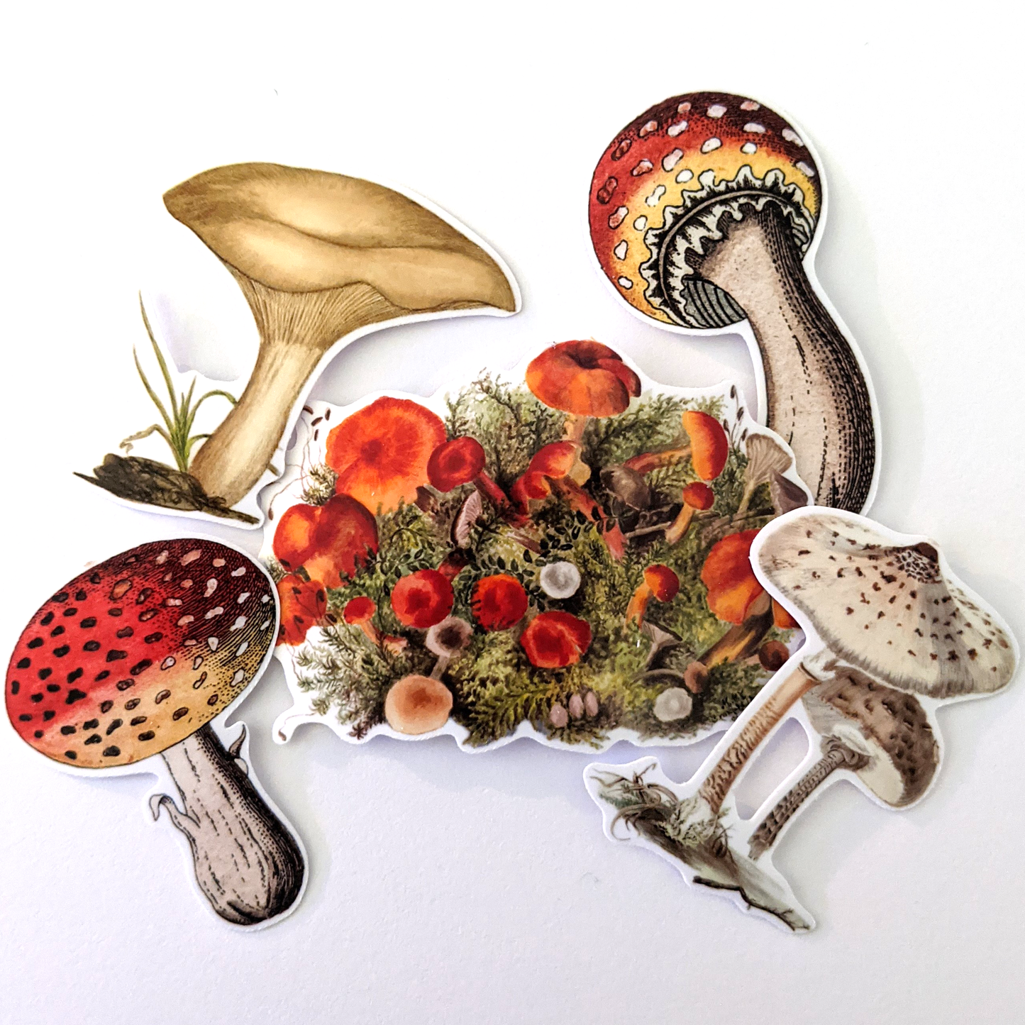 Aesthetic Mushroom Sticker Pack